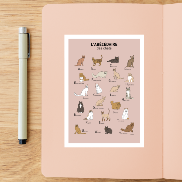 L' Abécédaire des chats Affiche A3 A4 Carte postale – Image 5