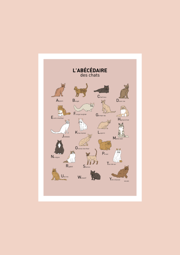 L' Abécédaire des chats Affiche A3 A4 Carte postale – Image 2