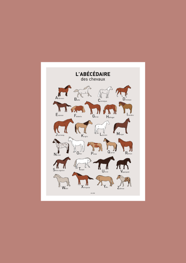 L' Abécédaire des chevaux Affiche A3 A4 Carte postale – Image 2