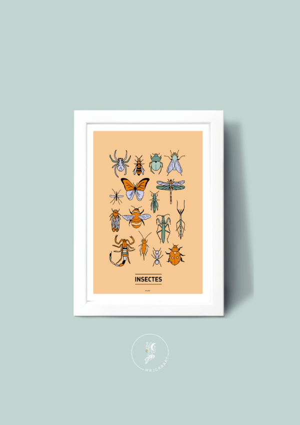 Insectes Affiche A3 A4 Carte postale