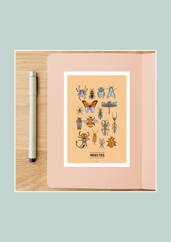 Insectes Affiche A3 A4 Carte postale – Image 5