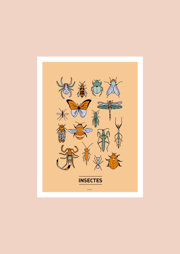 Insectes Affiche A3 A4 Carte postale – Image 2