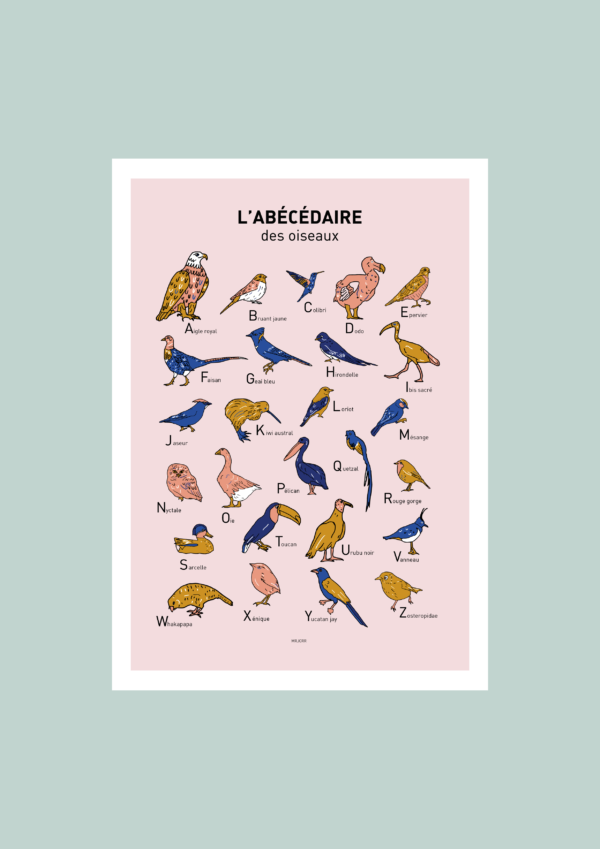 L' Abécédaire des oiseaux Affiche A3 A4 Carte postale – Image 2