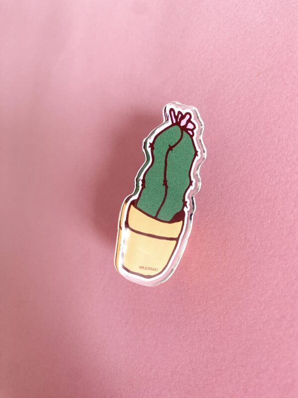Pin’s cactus – Image 6