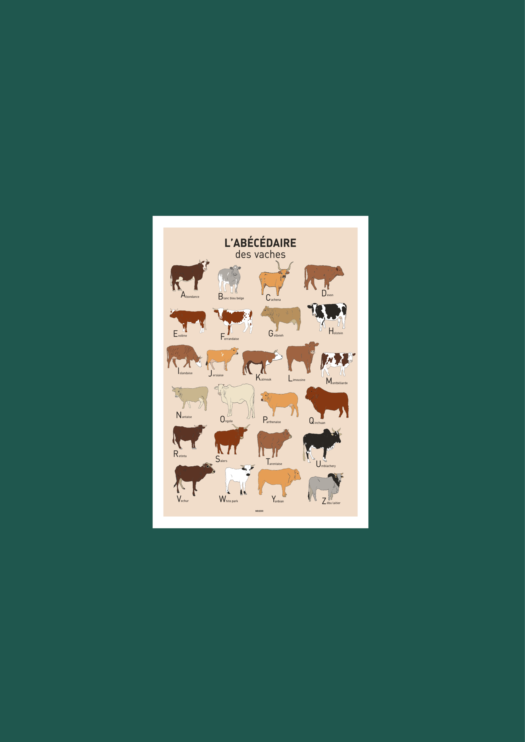 L' Abécédaire des vaches Affiche A3 A4 Carte postale – Image 2